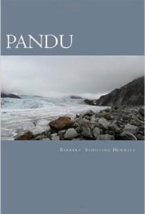 Pandu, a young adult novel by Barabara Schilling Hurwitz